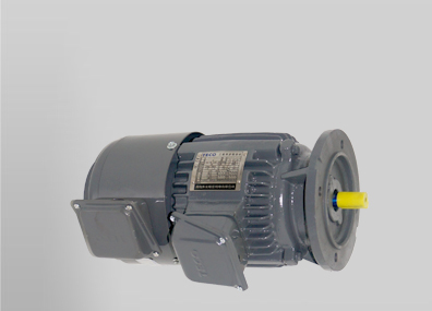 EVVF立式東元變頻電機(jī)